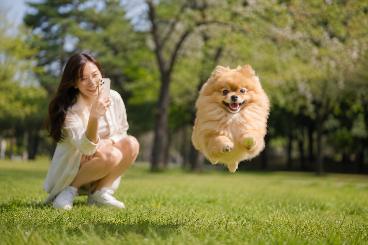 Pet creator filming her Pomeranian mid-jump in a park with a vertical smartphone to grow a TikTok account